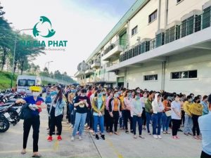 cung ứng lao động KCN Đức Hòa I - Hạnh Phúc 