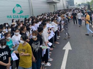 cung ứng lao động KCN Đức Hòa III - Hồng Đạt