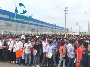 cung ứng lao động KCN Hòa Bình