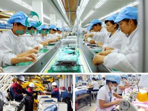 cung ứng lao động Khu chế xuất Linh Trung I, II