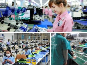 cung ứng lao động Khu chế xuất Tân Thuận