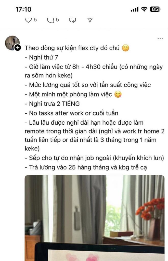 Flex về công ty